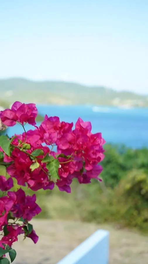 Apartmán Coqui Beach Home, Culebra Isla Culebra Portoriko