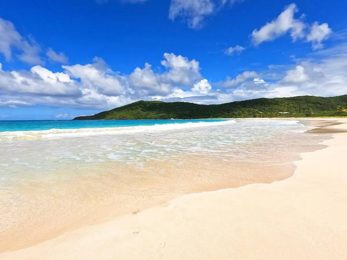 Apartment Coqui Beach Home, Culebra Isla Culebra Puerto Rico
