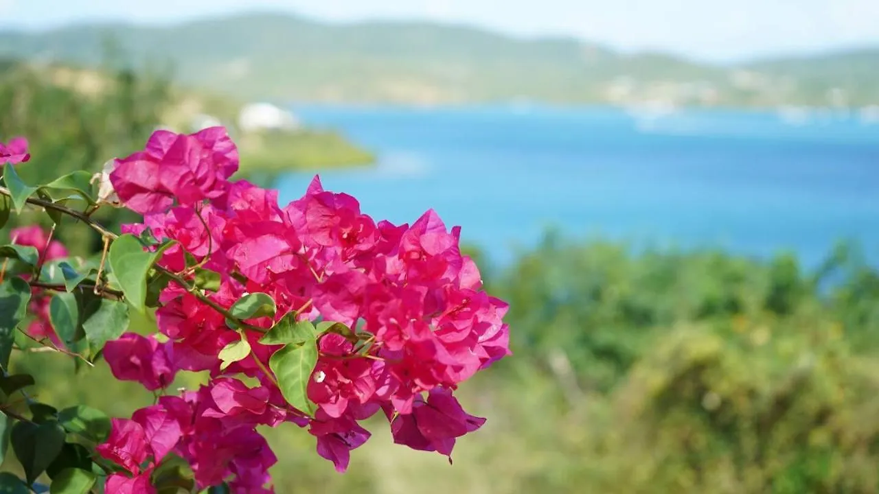 Coqui Beach Home, Culebra Isla Culebra Apartment